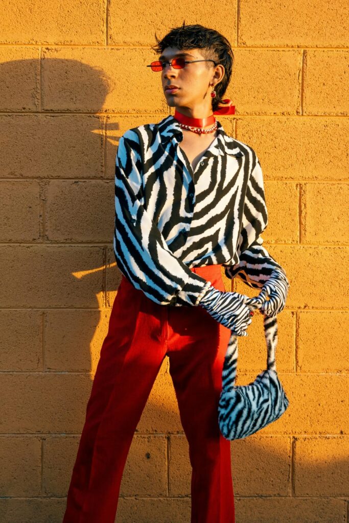 fashion trend zebra print k new magic 2025